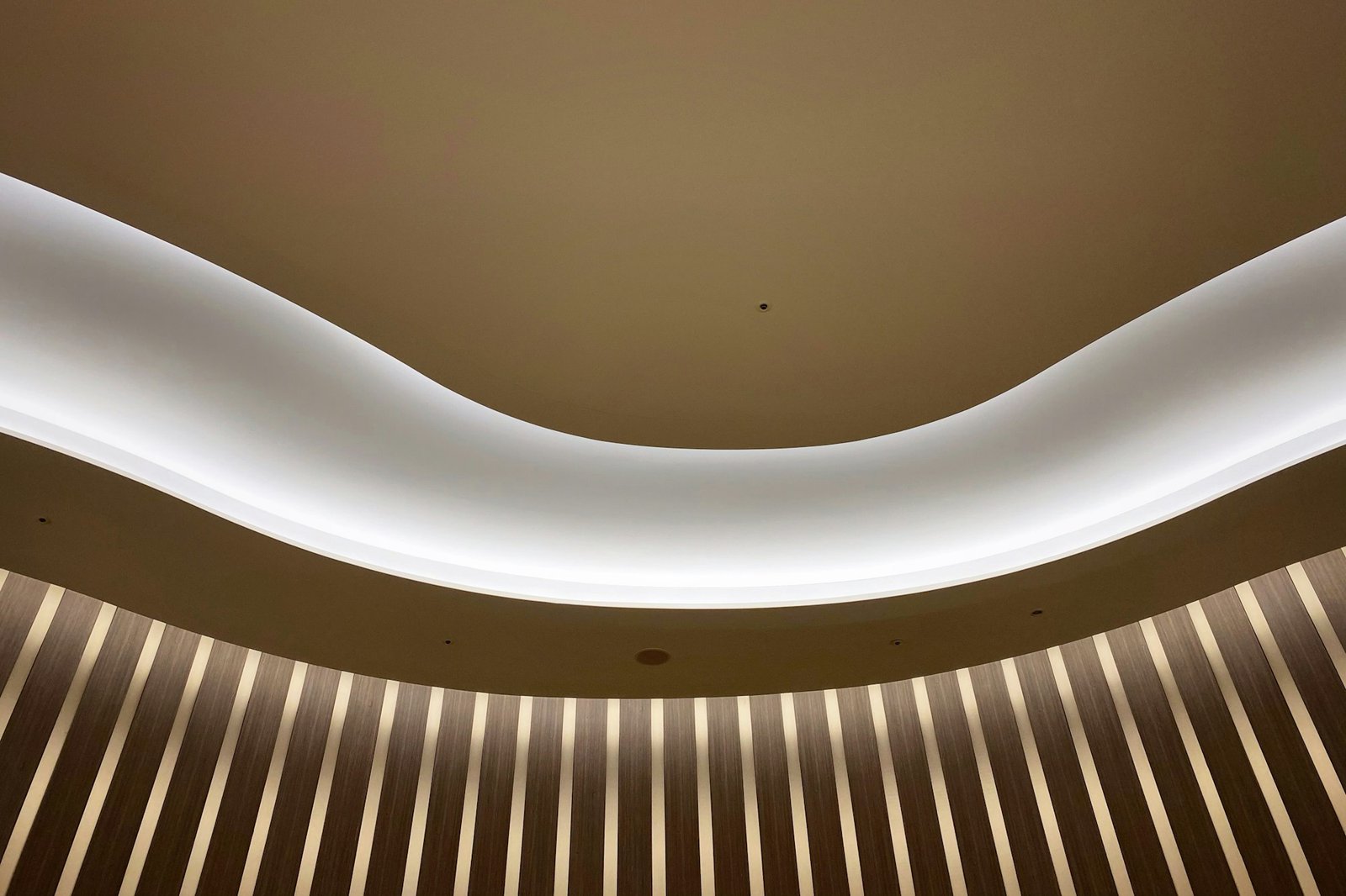 Curved gypsum ceiling with lighting