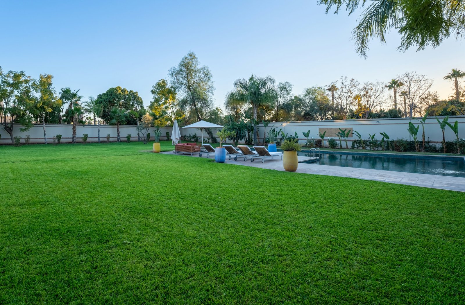 Landscaped lawn with swimming pool